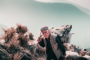 Mountain Homes Become Remote Work Havens