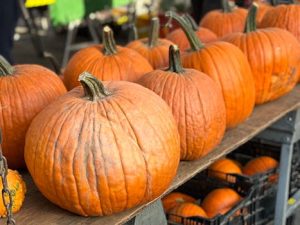 Pumpkins from the patch decorate autumn porches