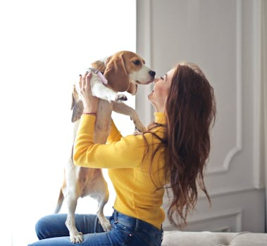 Pet-friendly apartments attracting devoted animal lovers