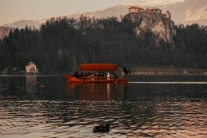 Lakefront Living: Scenic Views and Unique Challenges