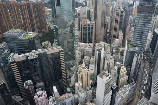 Rooftop gardens turning city blocks green