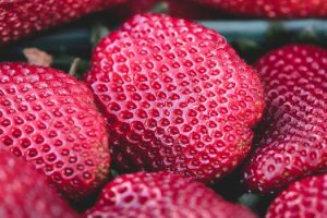 Strawberries from local farms sweeten summer breakfasts