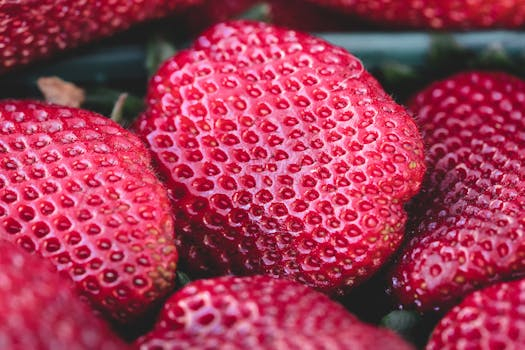 Strawberries from local farms sweeten summer breakfasts
