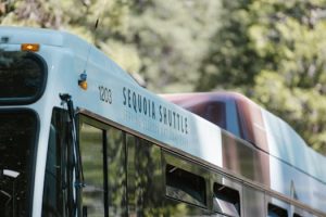 Exploring National Parks by Vehicle